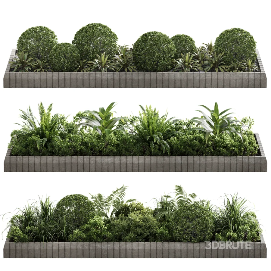 Outdoor Plant 49 Image 3
