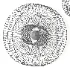 Aromas Del Campo Hedula Wall Lamp - Thumbnail 3