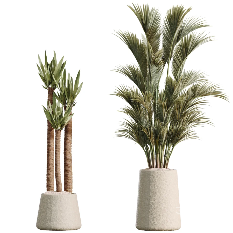 AV Indoor Plants Set 480 Olive Palm ParadiseBird Yucca Image 6