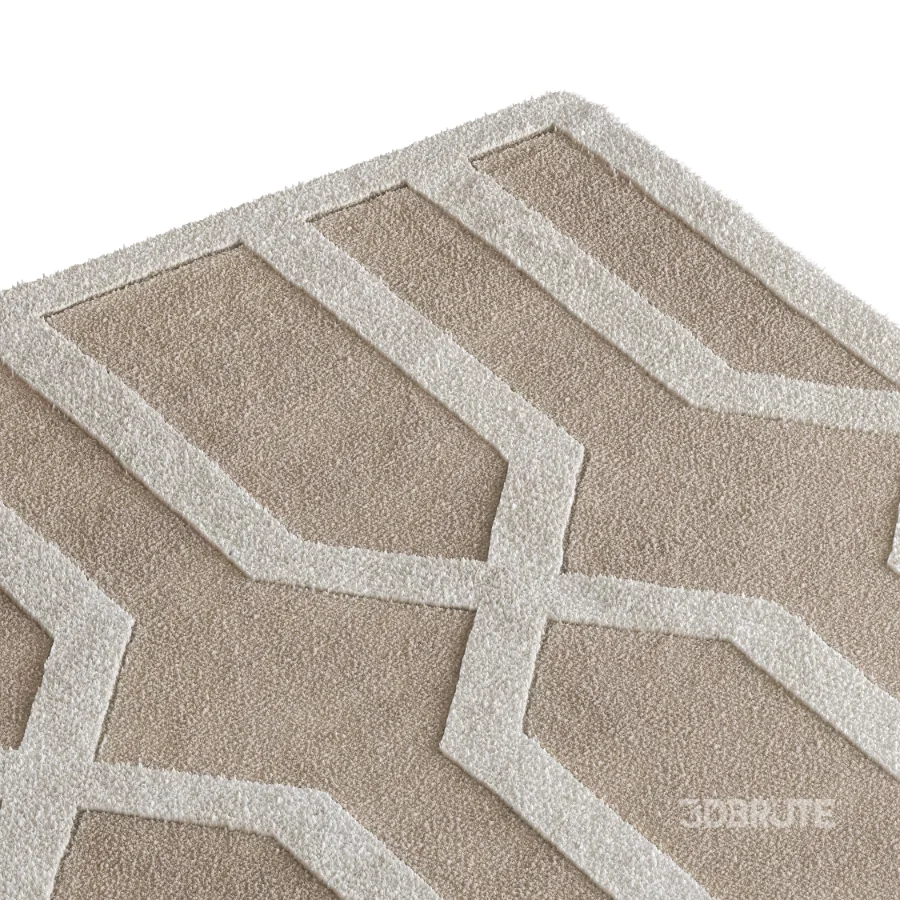 Carpet 12 Image 1