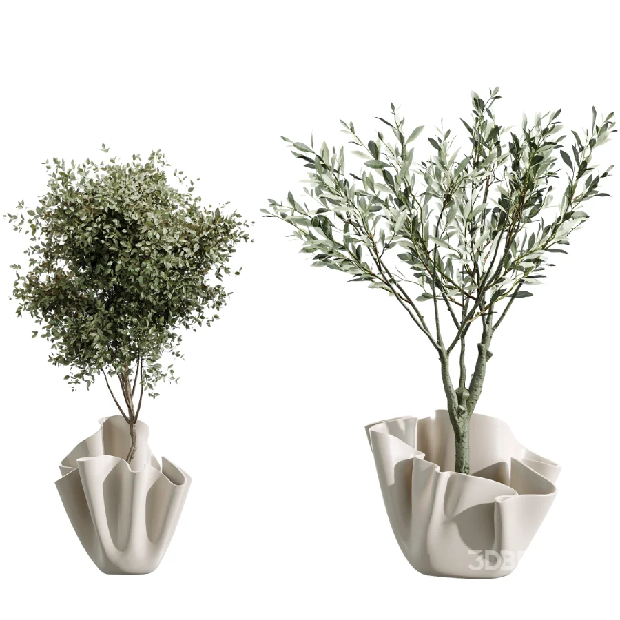 AV Indoor Plants Set 487 Lady Palm and Olive Tree and Snake Sansevieria Image 7