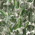 Light_box_with_tropical_leaves - Thumbnail 3