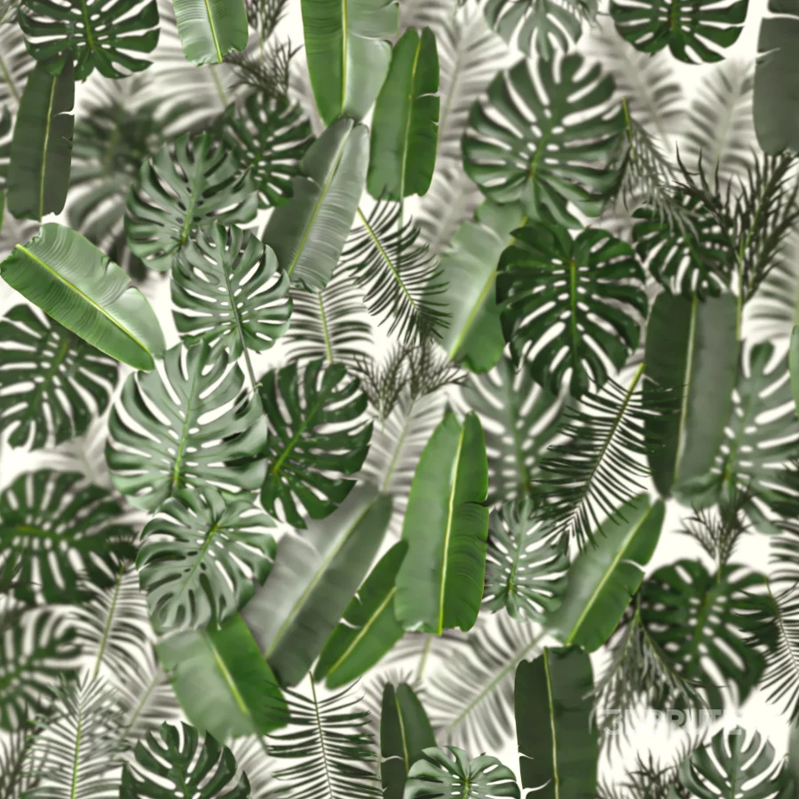 Light_box_with_tropical_leaves Image 3