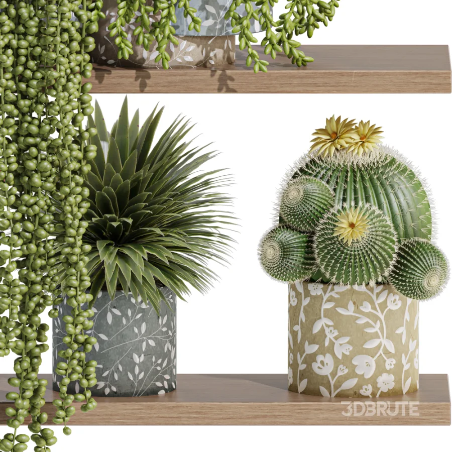 Indoor_plants_on_shelf Image 4