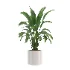 indoor-plant-003 - Thumbnail 1