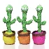 Musical Cactus Toy - Thumbnail 1