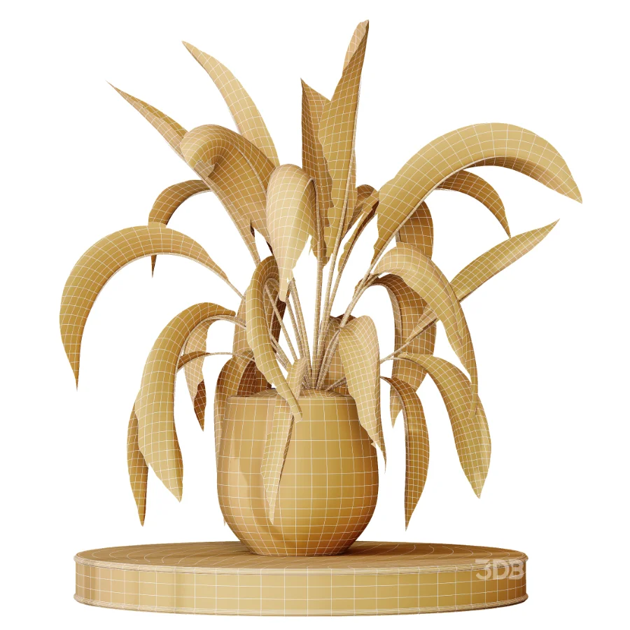 AV Indoor Plants Set 477 Elegant Monstera and Peace Lily and Chemlali Olive and Euphorbia Drupifera and Cat Reed Palm Image 11