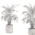 indoor-plant-003 - Thumbnail 3