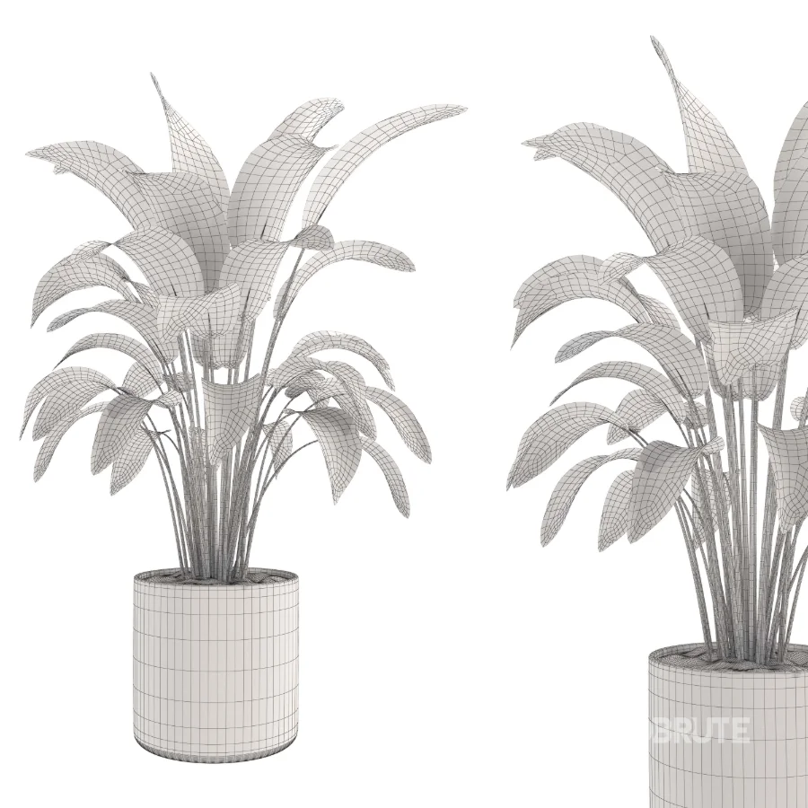 indoor-plant-003 Image 3