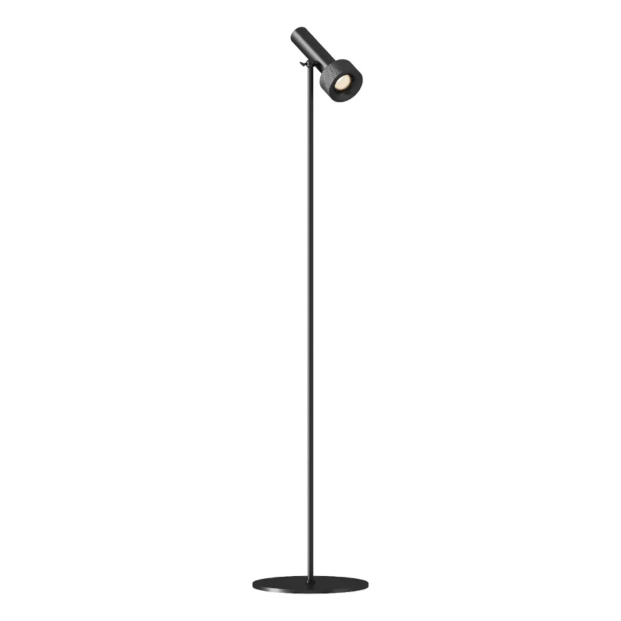 Aromas del Campo FOCUS Floor Lamp Image 5