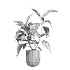indoor plant 052 - Thumbnail 4