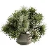 AV Indoor Plants Set 476 Yucca Elephantipes and Olive Tree and Zamioculcas Zamiifolia and Peace Lily - Thumbnail 2