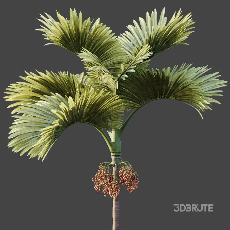 ntal fruits. Image 4