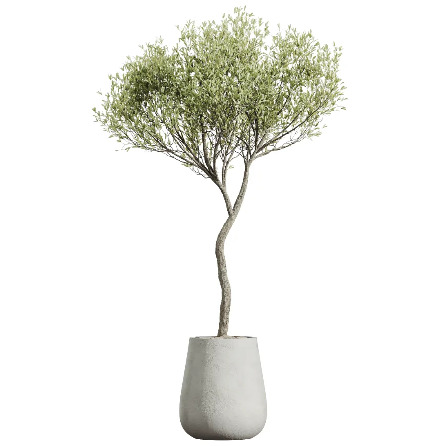 ntal greenery, making it an excellent choice for luxury interiors, hospitality spaces, commercial environments, and architectural landscape scenes. Image 1