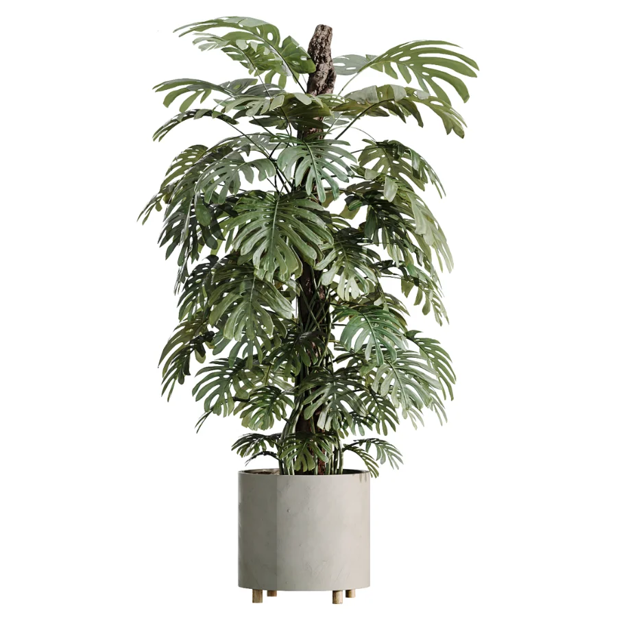 ntal greenery, making it an excellent choice for luxury interiors, hospitality spaces, commercial environments, and architectural landscape scenes. Image 2