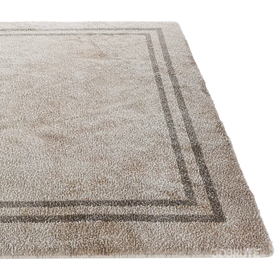 Carpet 11 Image 3