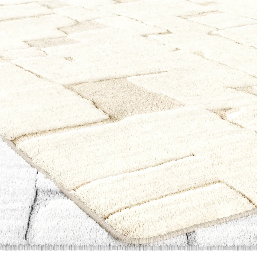 Carpet Image 3