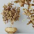 AV Indoor Plants Set 524 Pachira Ficus Dracaena Cactus - Thumbnail 10