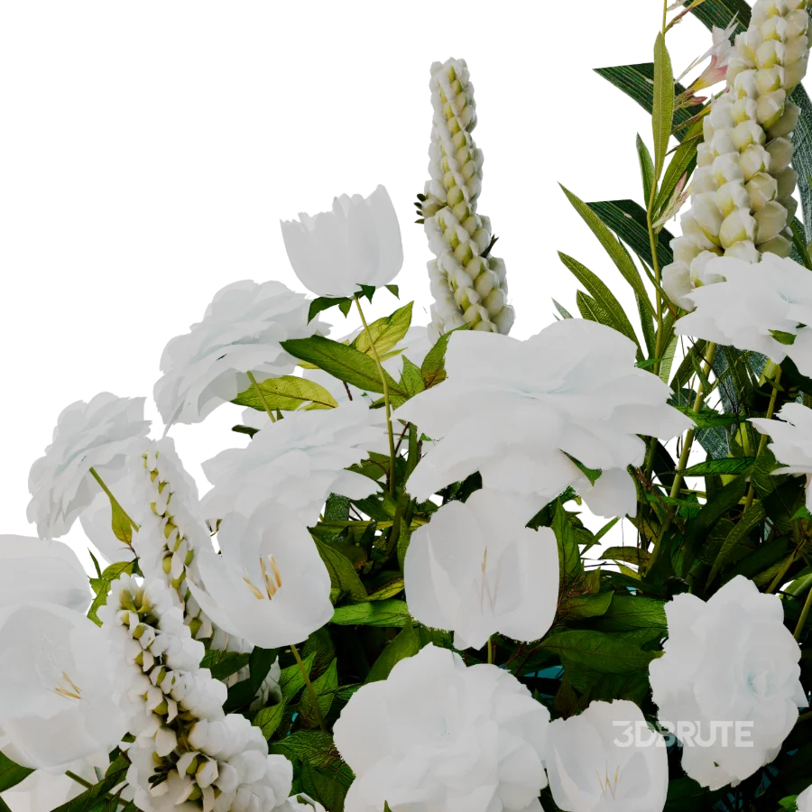 ivory harmony Image 3
