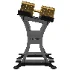 350lb_Customized_Gold_Dumbbells - Thumbnail 6
