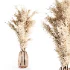 Pompas bouquet - Thumbnail 2