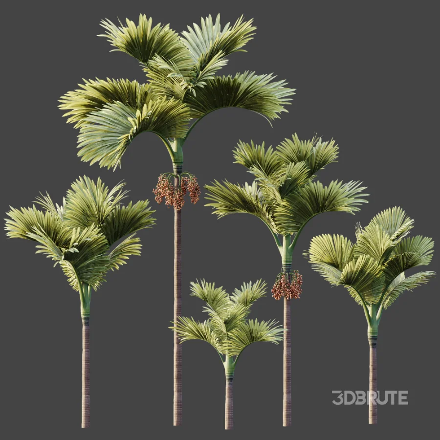 ntal fruits. Image 9