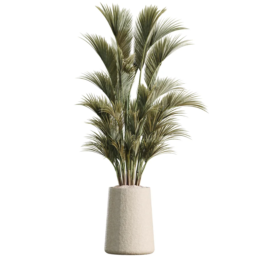 AV Indoor Plants Set 480 Olive Palm ParadiseBird Yucca Image 2