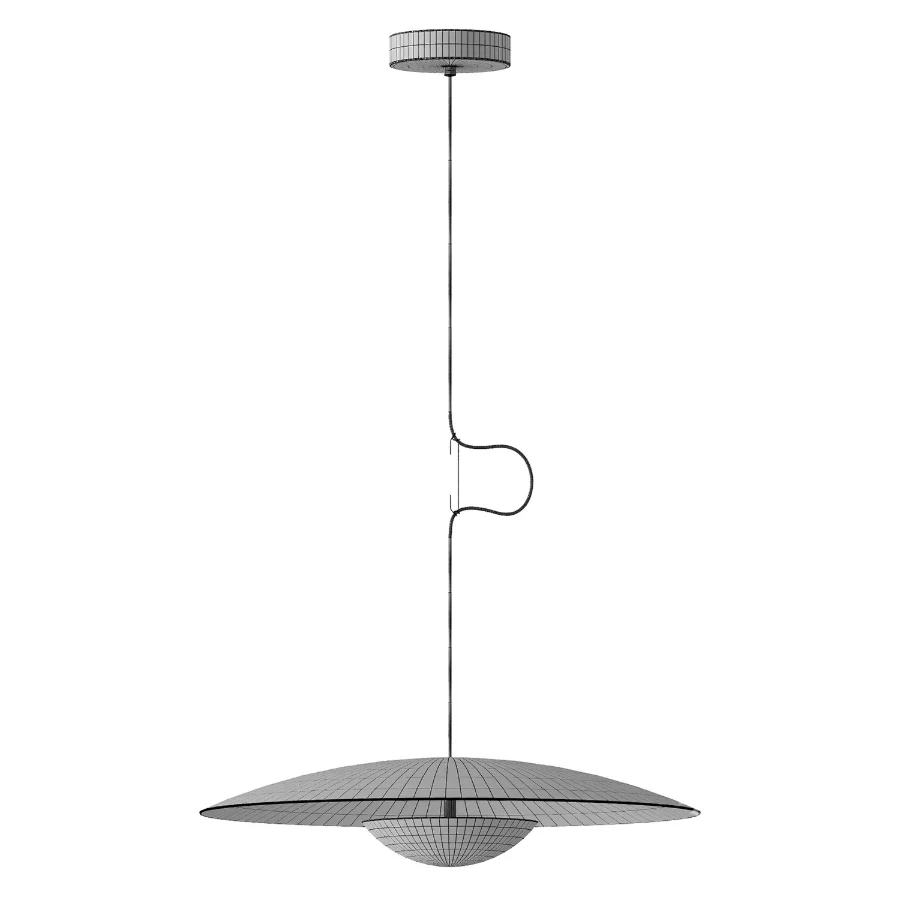 Ginger Pendant light Image 2