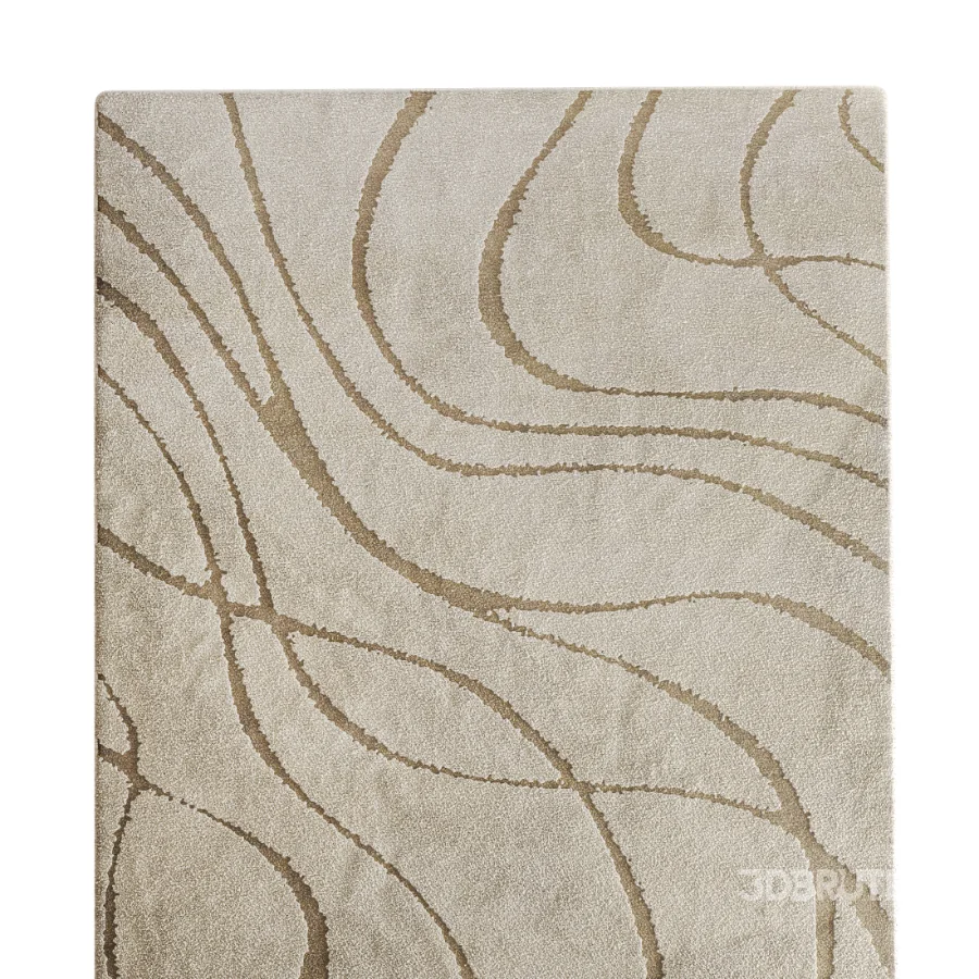 Carpet 13 Image 2