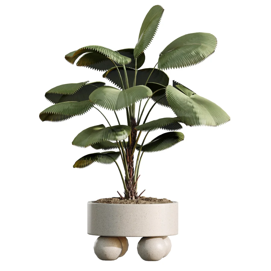 AV Indoor Plants Set 490 Yucca Olive Artificial Rhapis Orange Palm Image 4