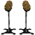 350lb_Customized_Gold_Dumbbells - Thumbnail 2