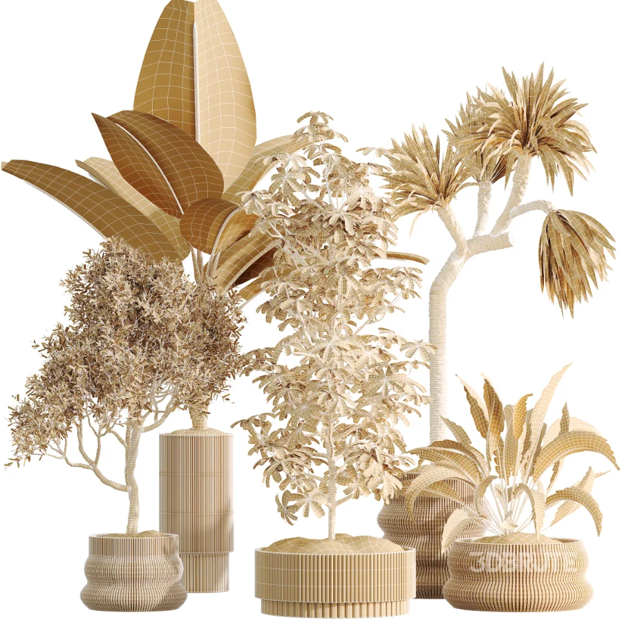 ntal plant species to create a balanced composition suitable for modern interiors, outdoor environments, and high-end architectural scenes. Image 8