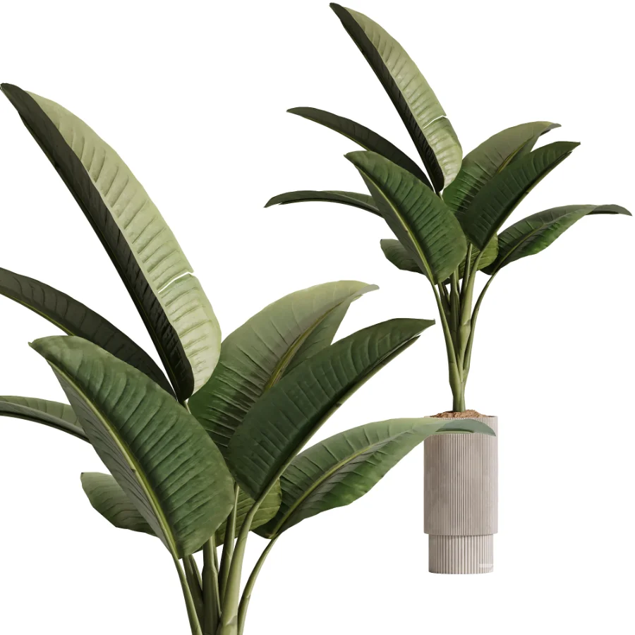 ntal plant species to create a balanced composition suitable for modern interiors, outdoor environments, and high-end architectural scenes. Image 3