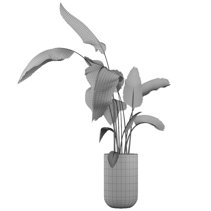 indoor plant 077 Image 4