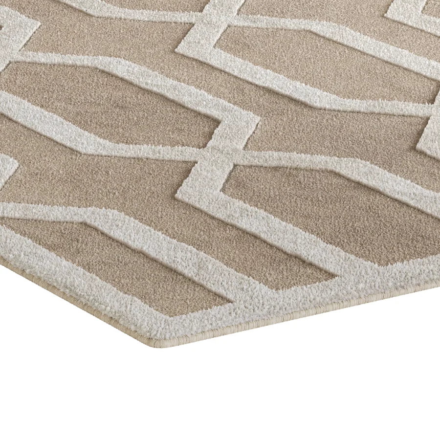 Carpet 12 Image 4