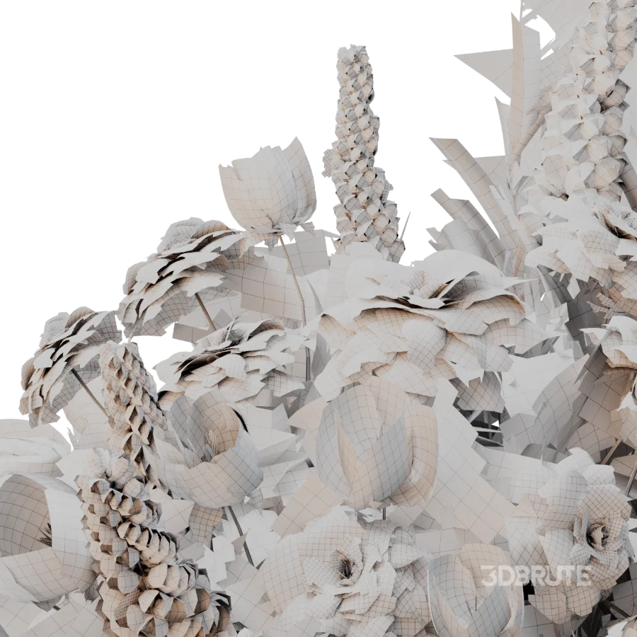ivory harmony Image 5