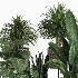 Indoor Plant Collection 006 - Thumbnail 2