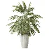 AV Indoor Plants Set 525 Yucca Olive Areca Palm Spathiphyllum - Thumbnail 1