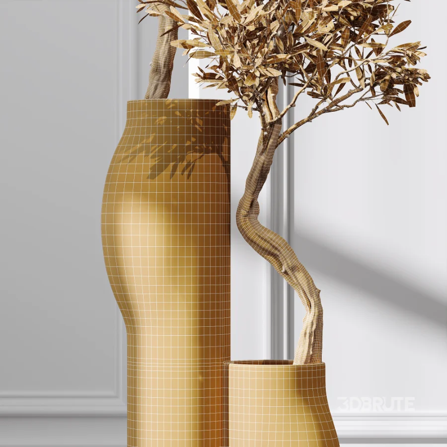 AV Indoor Plants Set 476 Yucca Elephantipes and Olive Tree and Zamioculcas Zamiifolia and Peace Lily Image 9