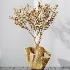 AV Indoor Plants Set 487 Lady Palm and Olive Tree and Snake Sansevieria - Thumbnail 9