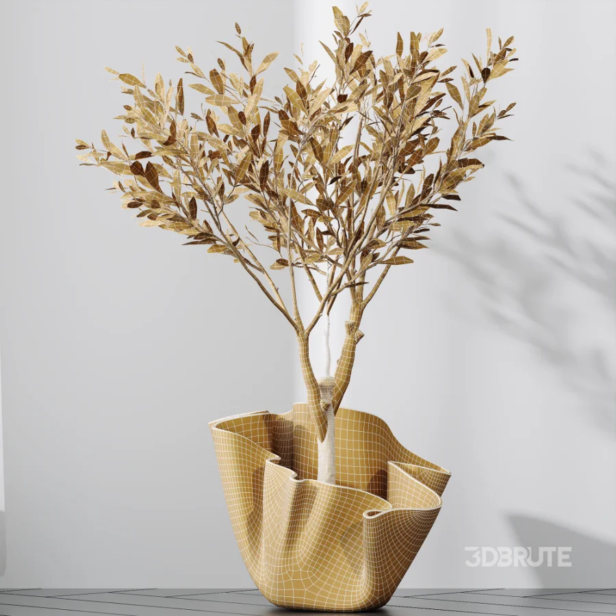 AV Indoor Plants Set 487 Lady Palm and Olive Tree and Snake Sansevieria Image 9