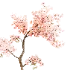 Sakura Breeze - Thumbnail 6