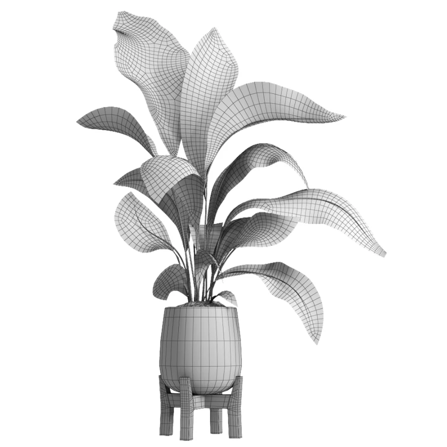 indoor plant 054 Image 5