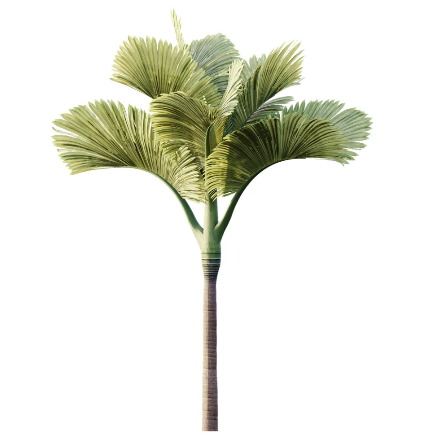 ntal fruits. Image 3
