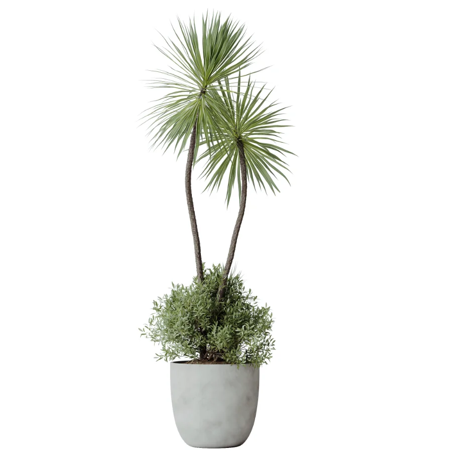 AV Indoor Plants Set 482 Peace Lily Banana Olive Yucca Orange Image 1