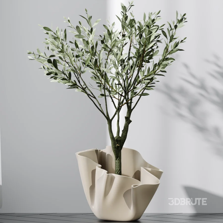 AV Indoor Plants Set 487 Lady Palm and Olive Tree and Snake Sansevieria Image 6