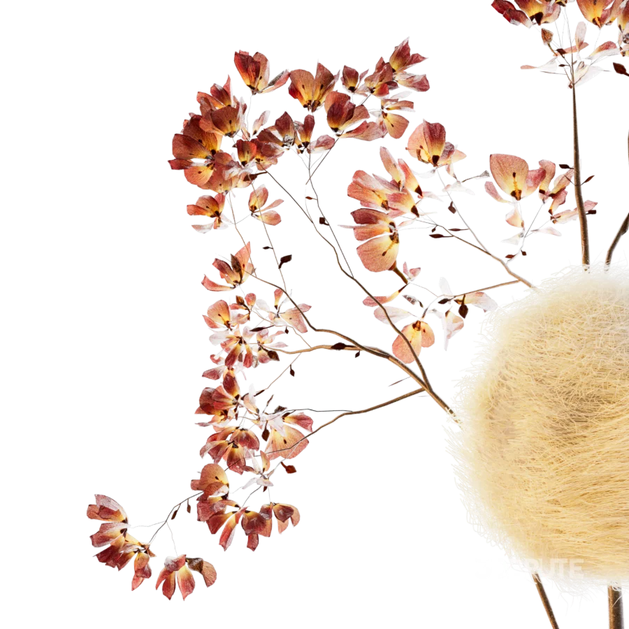 Autumn Whisper Image 3