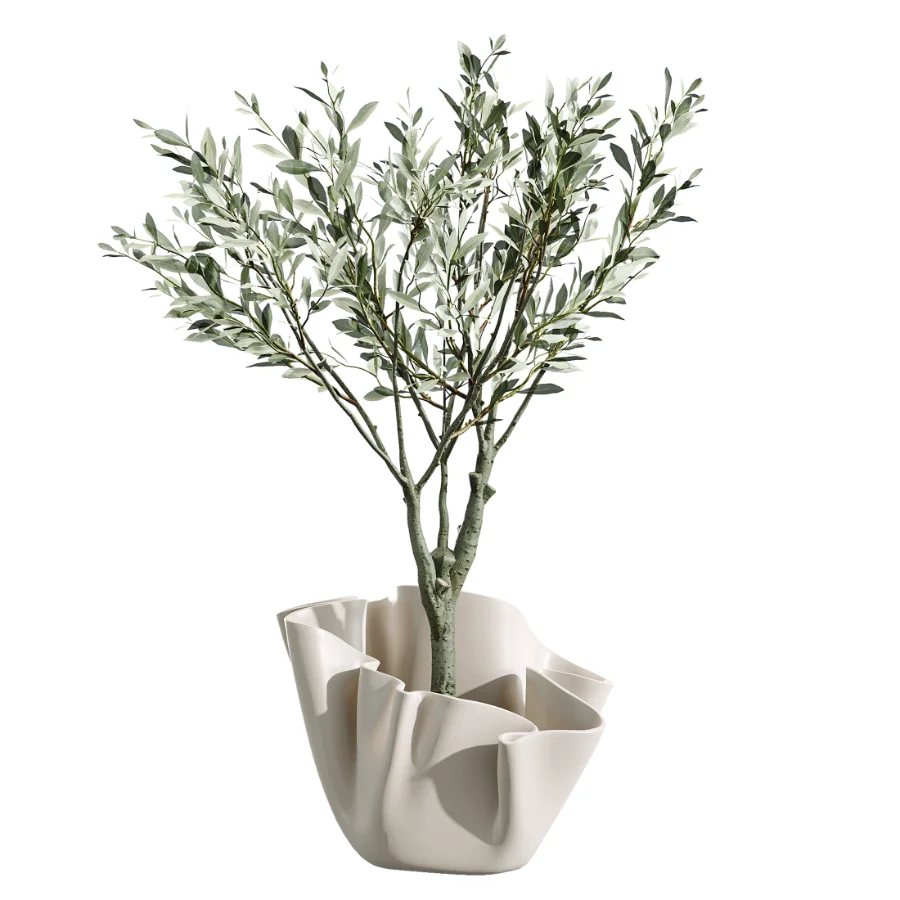 AV Indoor Plants Set 487 Lady Palm and Olive Tree and Snake Sansevieria Image 2