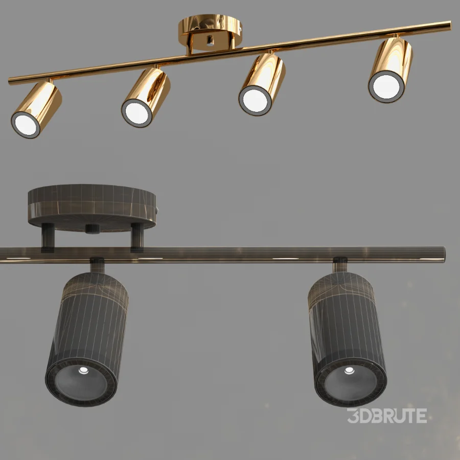 Ceiling Light Image 2