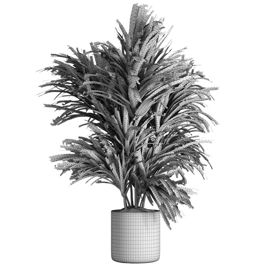 indoor plant 045 Image 1